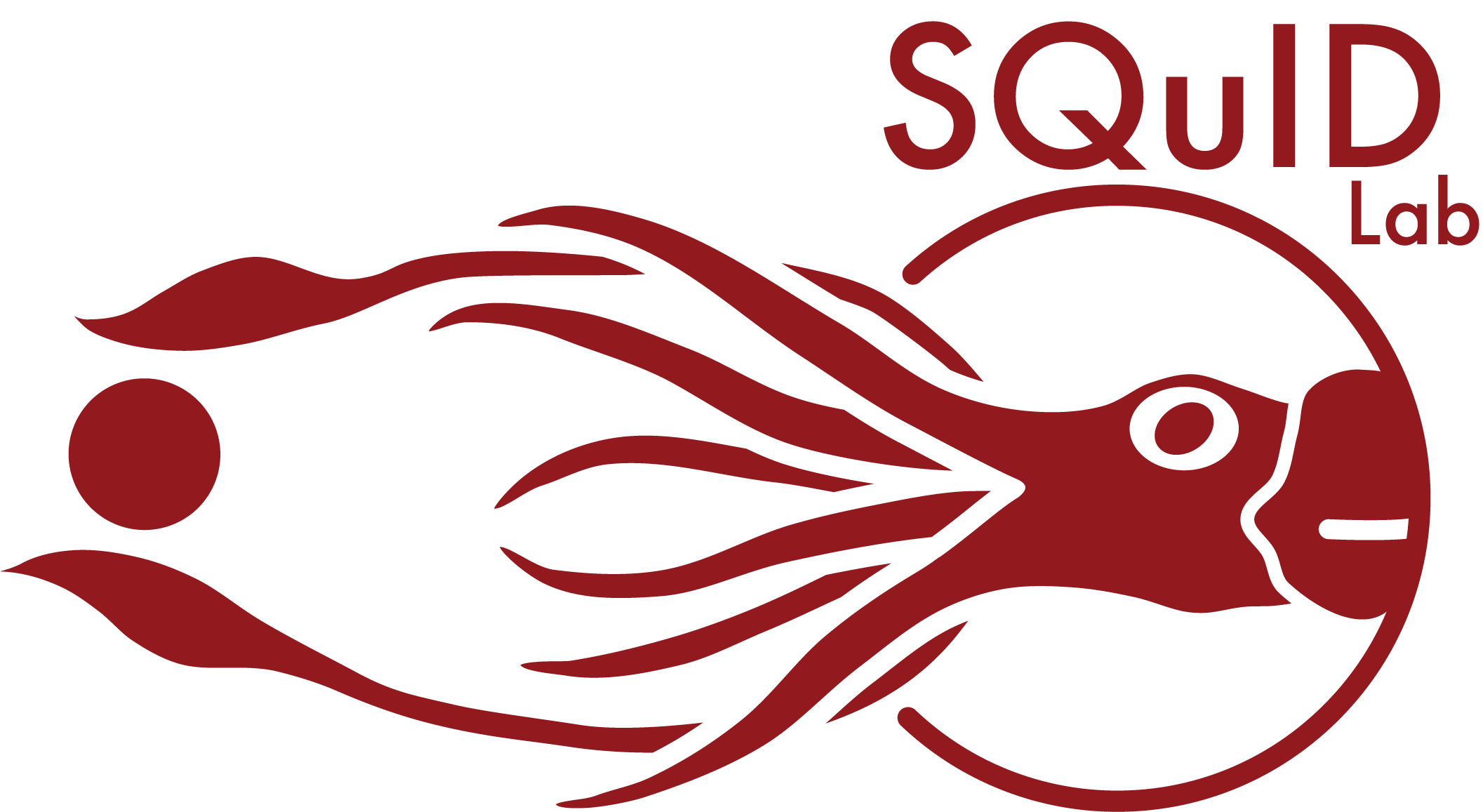 SQuID Lab